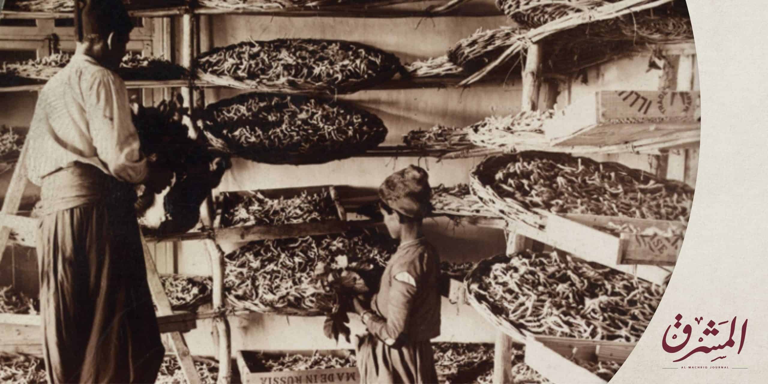 DeM--Machriq-Journal-2025-v2-Articles---Botros-Labaki اللاّهوت السّياسيّ في الكنيسة المارونيّة